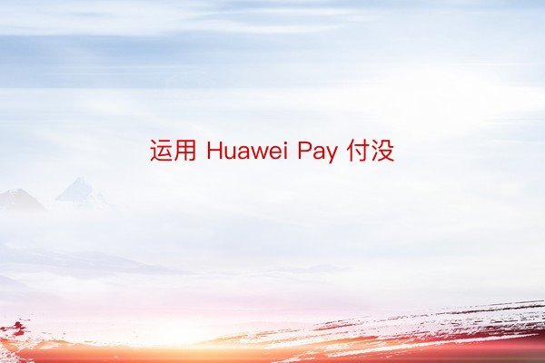 运用 Huawei Pay 付没